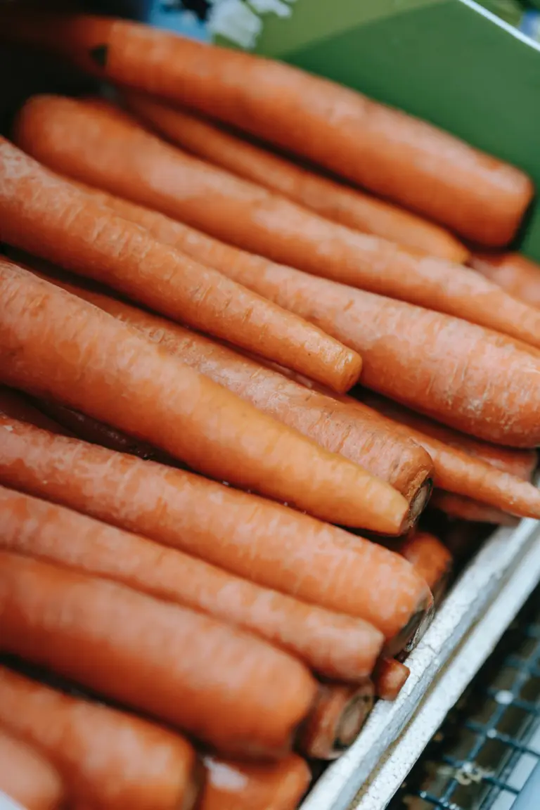 Vitamin A, Hausarzt Neuhausen Nymphenburg, Hausärzte Neuhausen Nymphenburg, Allgemeinarzt Neuhausen, Hausärzte München, Hausarzt München Neuhausen, Hausarzt Nymphenburg, Hausarzt Neuhausen München, Romanplatz München, Hausärzte am, am Romanplatz München, Roman München, Hausarztpraxis am Romanplatz, Dr Brockmann, Dr Brockmann München, dr Brockmann Neuhausen, Dr Brockmann Nymphenburg