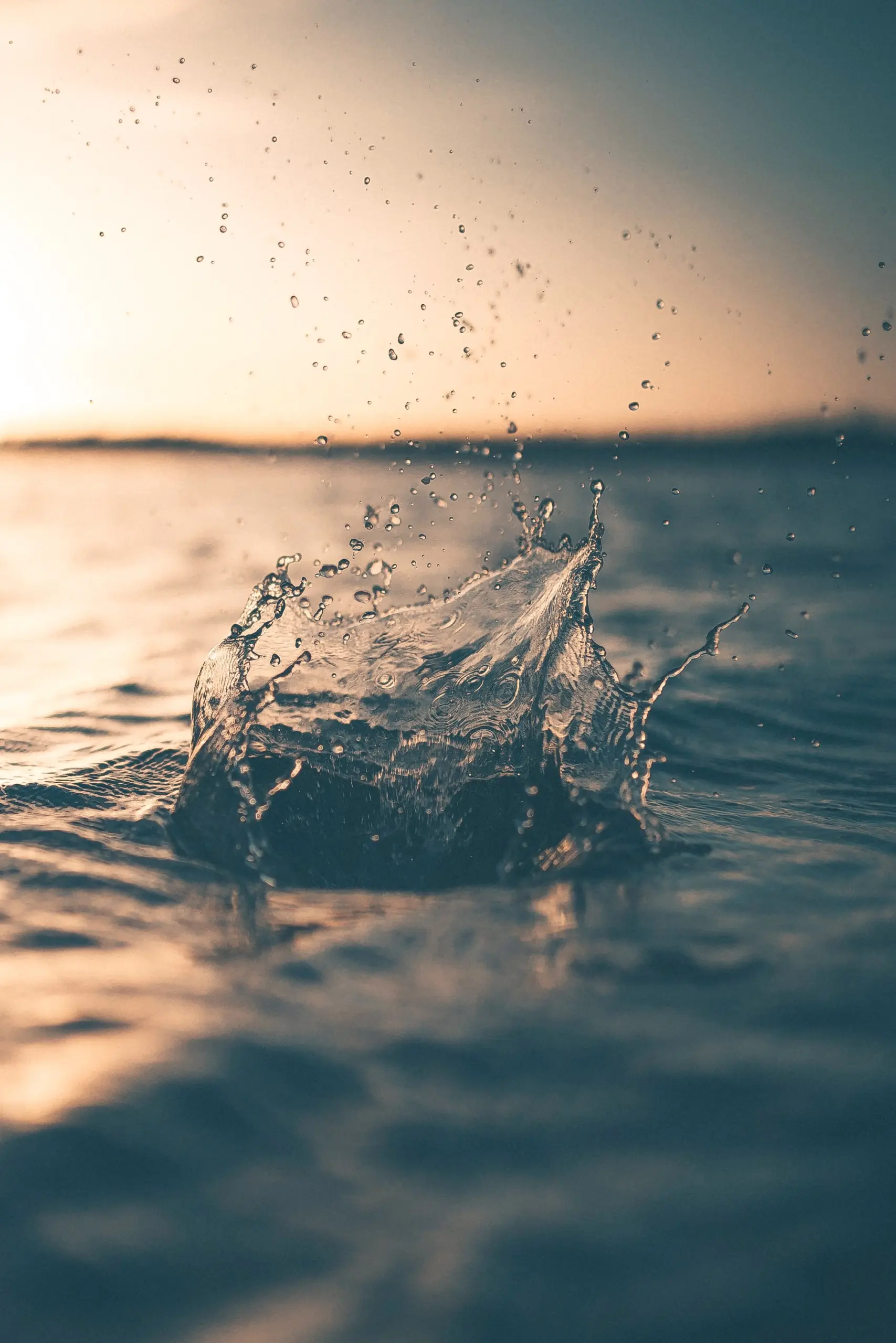 Wasser im Sonnenuntergang, Allgemeinmedizin München, Hausarztpraxis am Romanplatz, Trinkwasser, Leitungswasser, Mineralwasser, Wasserberatung, Mineralwasser oder Leitungswasser, Mineralwasser, Leitungswasser