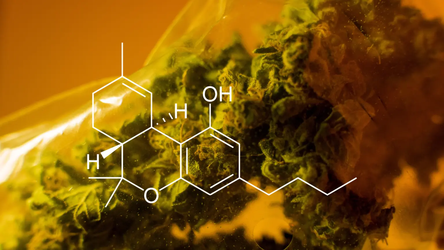 Medizinisches Cannabis am Romanplatz München: THC & CBD 21 Medizinisches Cannabis in Tüte mit THC-Chemiestruktur, Beratung und Rezept in München für Erkrankungsbehandlung.
