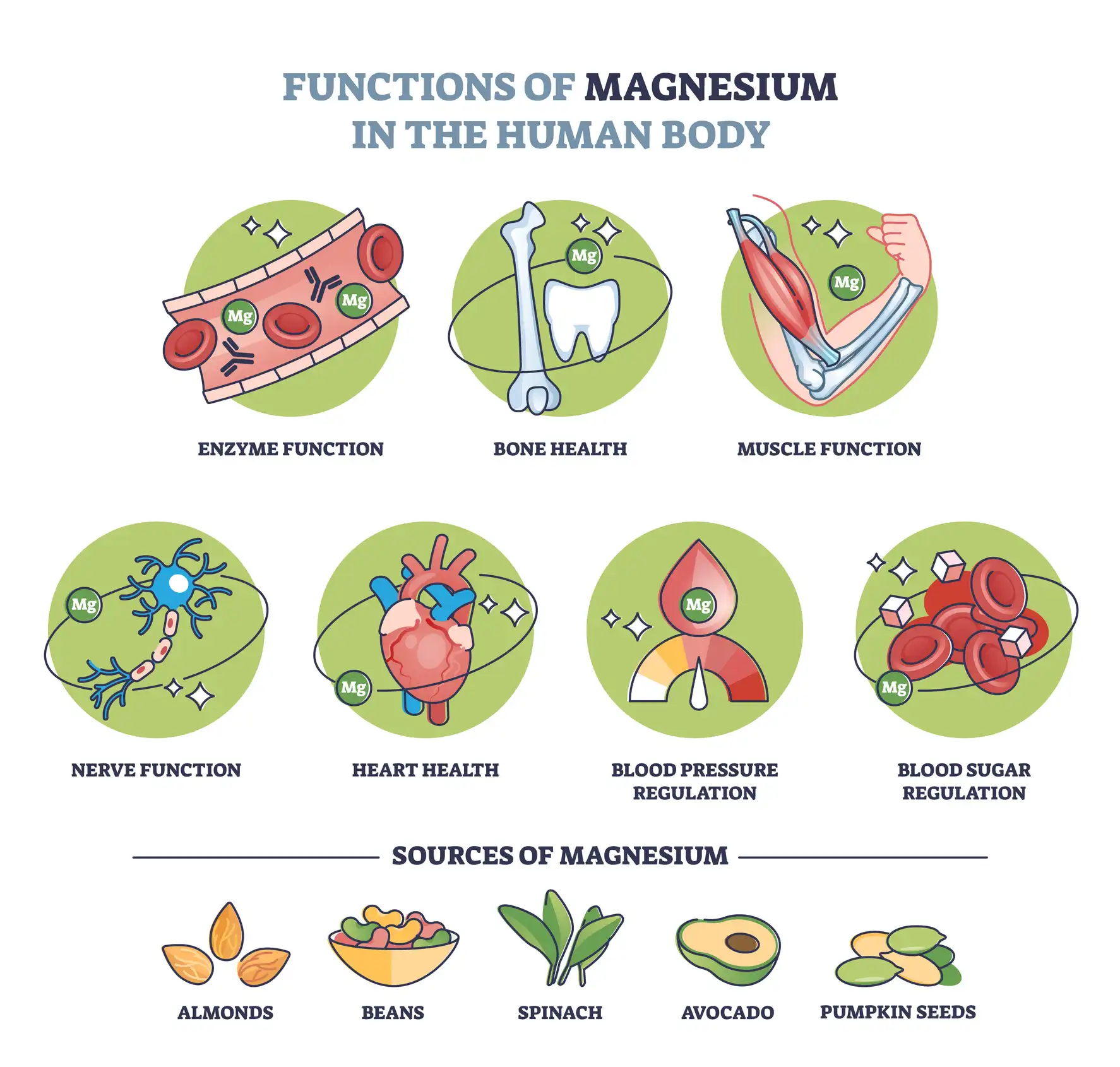 Magnesium Mangel: Symptome & wichtige Hilfe bei Muskelkrämpfen 4 magnesium: funktionen im körper – muskeln, nerven, energie