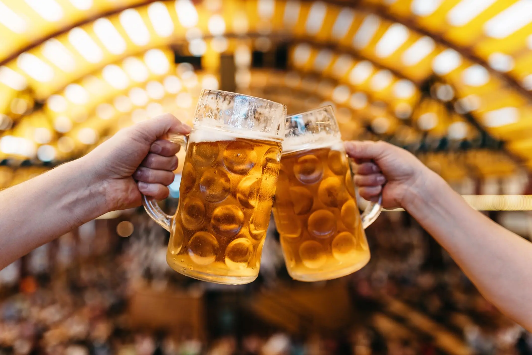 Oktoberfest 2025 München: Wiesn ohne Kater & Vitaminmangel 53 Bierkrüge stoßen an – Oktoberfest 2025 München, Wiesn im Festzelt