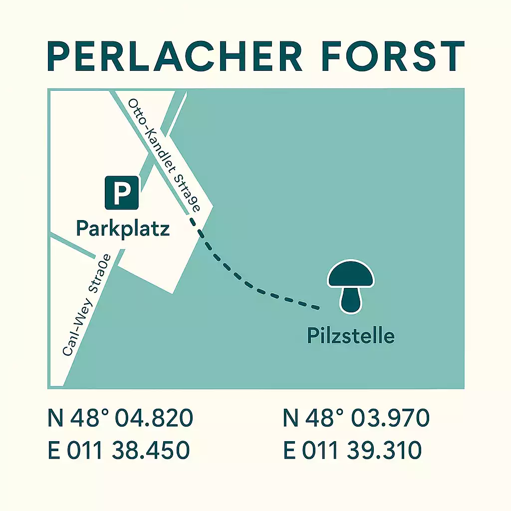 Perlacher Forst – stadtnah, ideal für Einsteiger