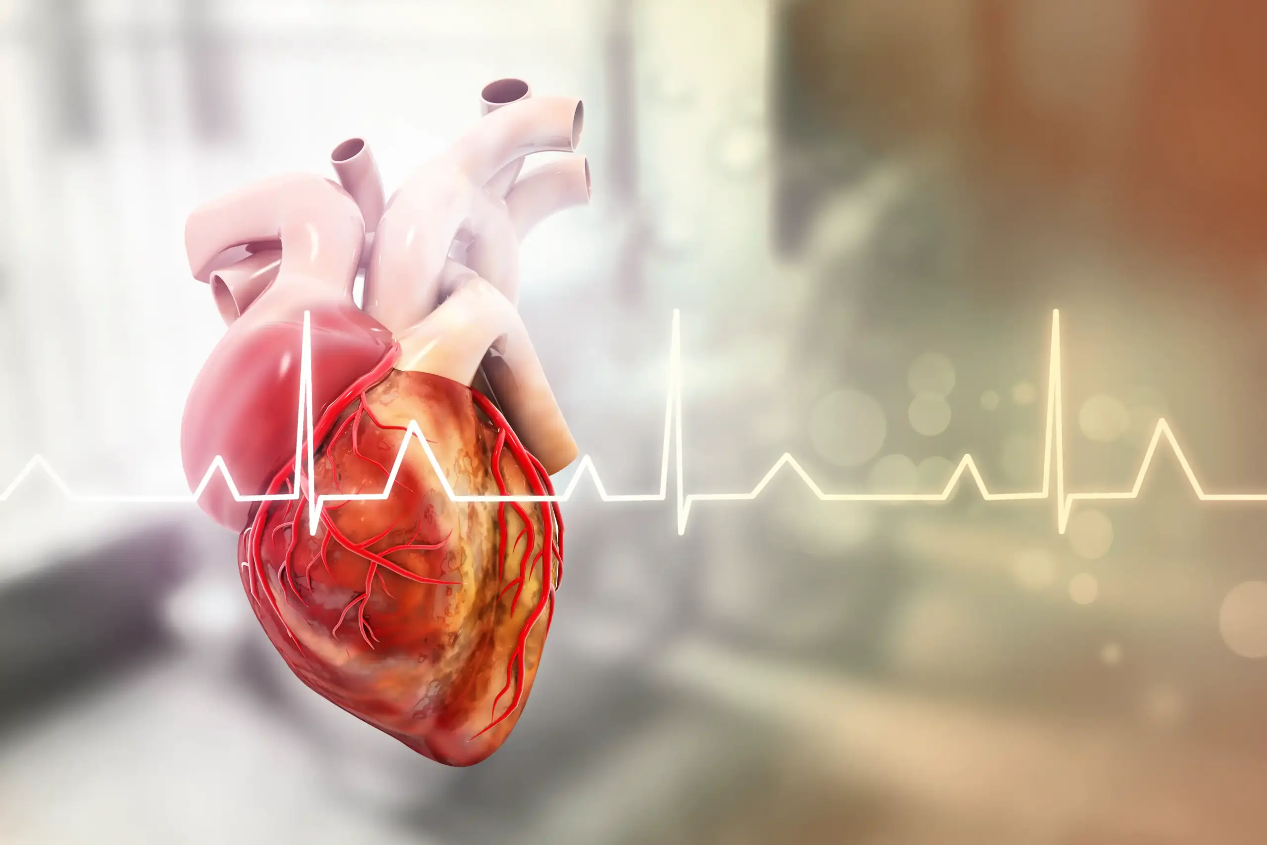 Gesundheitscheck München – Hausarzt & Diagnostik 7 Herz-EKG – Visualisierung der Herzaktivität