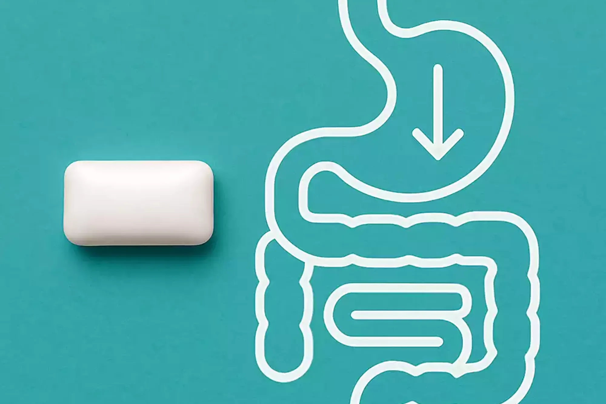 Kaugummi und Darm – verschluckte Kaugummis im Magen-Darm-Trakt illustriert