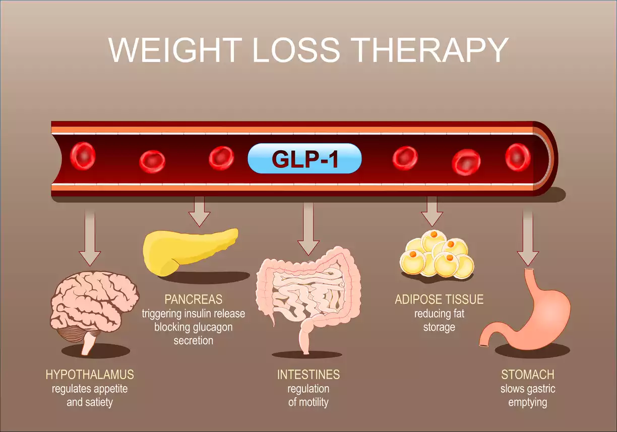 Infografik zur Mounjaro Therapie: Wirkung von GLP-1 und Tirzepatid auf den Körper