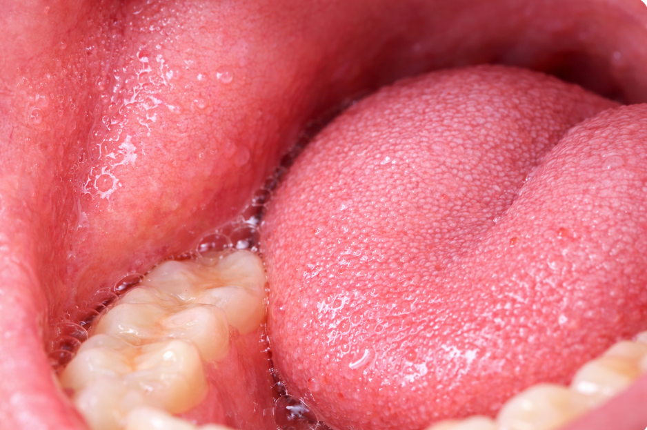 Platzhalterbild – Vitamin C Funktionen